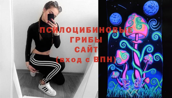 СК Алексеевка