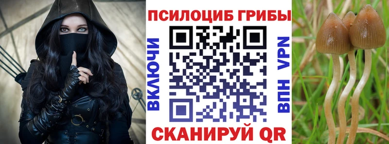 Галлюциногенные грибы ЛСД  наркошоп  Катав-Ивановск 